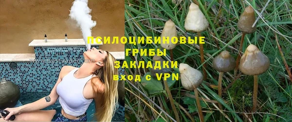 mdpv Алзамай