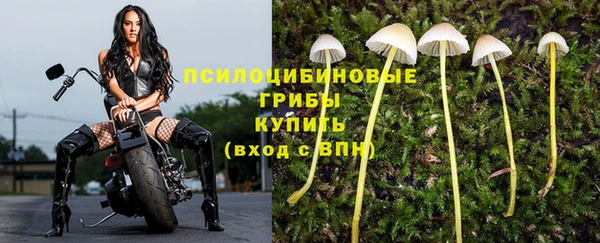 кокаин Алексеевка