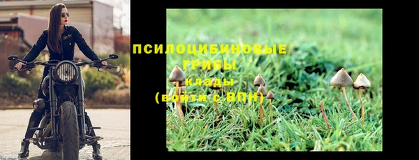 бошки Абаза