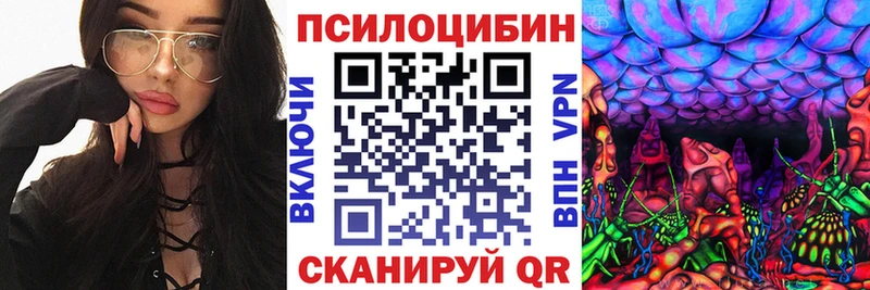 Псилоцибиновые грибы Psilocybine cubensis  маркетплейс телеграм  Южно-Сухокумск  гидра зеркало 