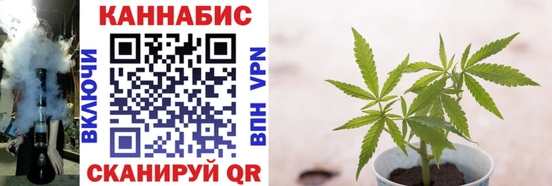 Канабис планчик  Южно-Сухокумск 